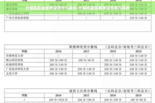 计算机职业资格证书分几级的-计算机最初等级证书是几级的