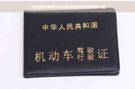 1x计算机中级证书含金量(计算机中级证书多少钱)