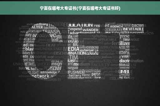 宁夏在哪考大专证书(宁夏在哪考大专证书好)