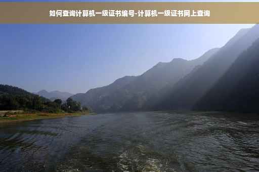 如何查询计算机一级证书编号-计算机一级证书网上查询