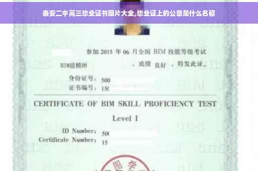泰安二中高三毕业证书图片大全,毕业证上的公章是什么名称