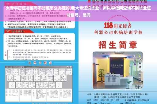 大专学历证书编号不知道怎么办理的,我大专还没毕业，所以学信网查询不到毕业证书编号，是吗