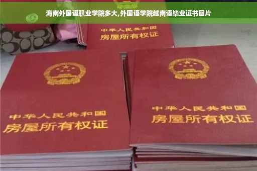 海南外国语职业学院多大,外国语学院越南语毕业证书图片