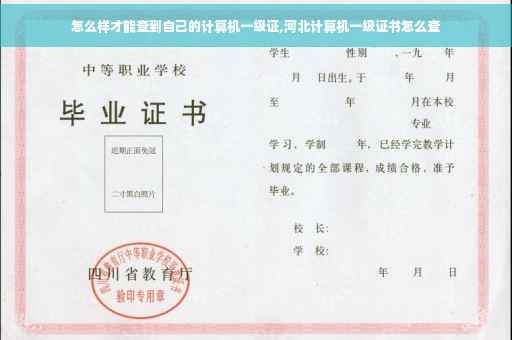 怎么样才能查到自己的计算机一级证,河北计算机一级证书怎么查