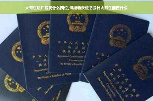 大专生进厂应聘什么岗位,没经验没证书会计大专生能做什么