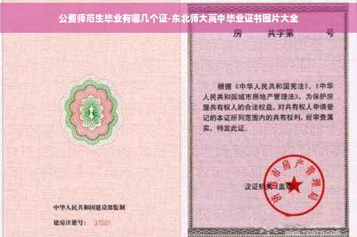 公费师范生毕业有哪几个证-东北师大高中毕业证书图片大全