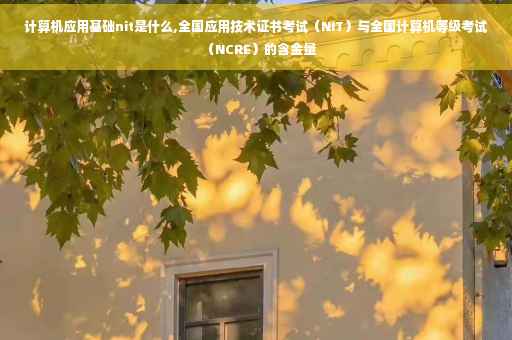 计算机应用基础nit是什么,全国应用技术证书考试（NIT）与全国计算机等级考试（NCRE）的含金量