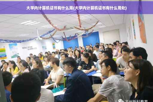 大学内计算机证书有什么用(大学内计算机证书有什么用处)