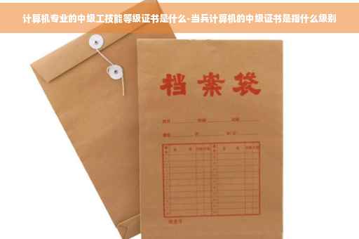计算机专业的中级工技能等级证书是什么-当兵计算机的中级证书是指什么级别