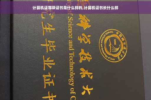 计算机证等级证书是什么样的,计算机证书长什么样