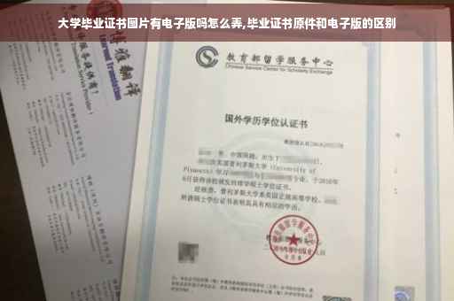 大学毕业证书图片有电子版吗怎么弄,毕业证书原件和电子版的区别