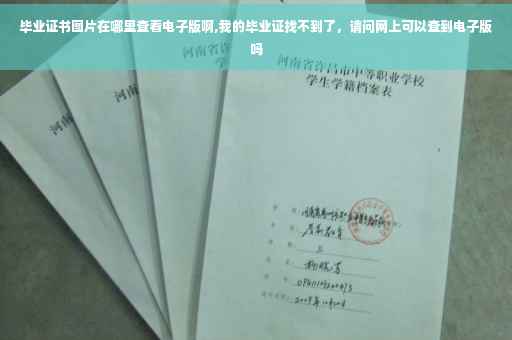 毕业证书图片在哪里查看电子版啊,我的毕业证找不到了，请问网上可以查到电子版吗