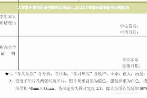 大专发不发报到证书呢怎么回事儿,2023大专毕业就业报到证有用吗