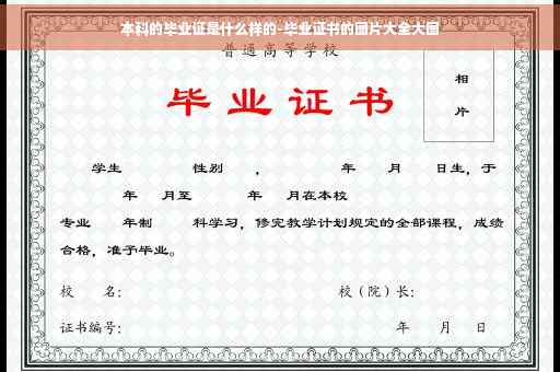本科的毕业证是什么样的-毕业证书的图片大全大图