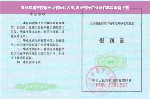 农业专科学校毕业证书图片大全,农业银行企业证书怎么重新下载
