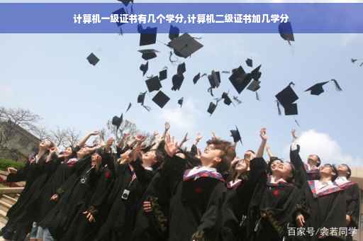计算机一级证书有几个学分,计算机二级证书加几学分