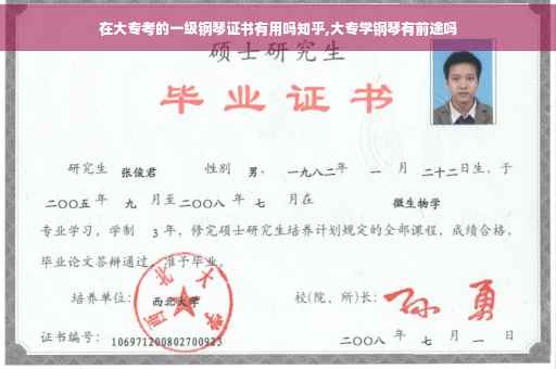 在大专考的一级钢琴证书有用吗知乎,大专学钢琴有前途吗