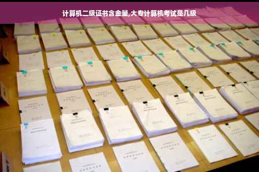 计算机二级证书含金量,大专计算机考试是几级