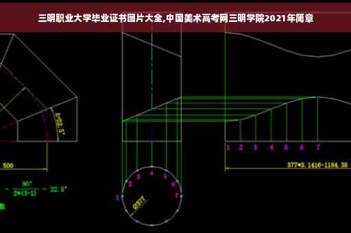 三明职业大学毕业证书图片大全,中国美术高考网三明学院2021年简章