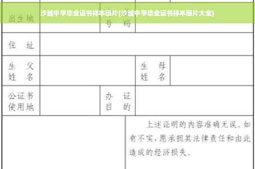 沙城中学毕业证书样本图片(沙城中学毕业证书样本图片大全)