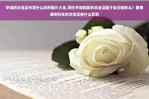 学徒的毕业证书是什么样的图片大全,现代学徒制发的毕业证属于全日制的么？跟普通专科生的毕业证有什么区别
