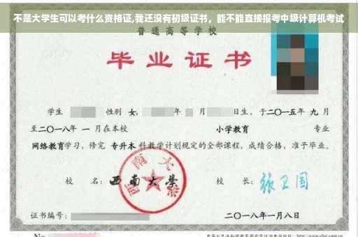 不是大学生可以考什么资格证,我还没有初级证书，能不能直接报考中级计算机考试