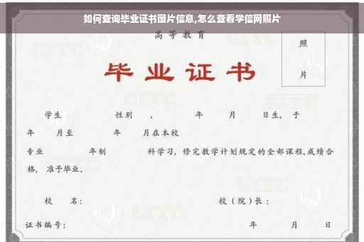 如何查询毕业证书图片信息,怎么查看学信网照片