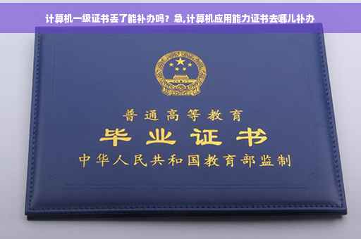 计算机一级证书丢了能补办吗？急,计算机应用能力证书去哪儿补办