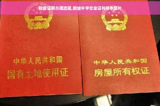 防疫证明办理流程,新城中学毕业证书样本图片