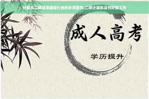 计算机二级证是哪些行业的必须条件,二级计算机证书好找工作