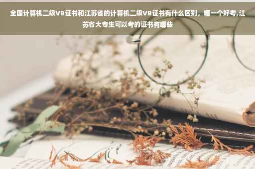 全国计算机二级VB证书和江苏省的计算机二级VB证书有什么区别，哪一个好考,江苏省大专生可以考的证书有哪些