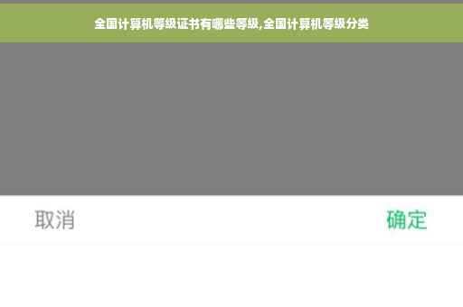 全国计算机等级证书有哪些等级,全国计算机等级分类