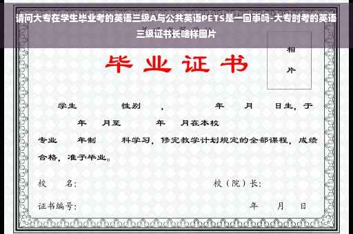 请问大专在学生毕业考的英语三级A与公共英语PETS是一回事吗-大专时考的英语三级证书长啥样图片