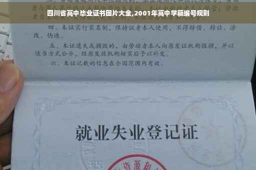 四川省高中毕业证书图片大全,2001年高中学籍编号规则