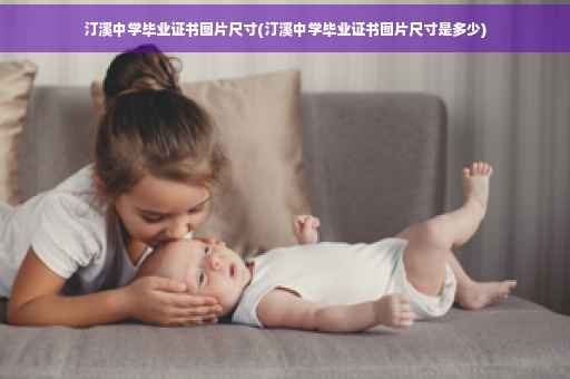 汀溪中学毕业证书图片尺寸(汀溪中学毕业证书图片尺寸是多少)