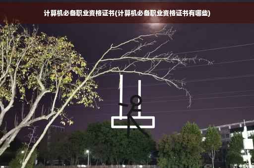 计算机必备职业资格证书(计算机必备职业资格证书有哪些)