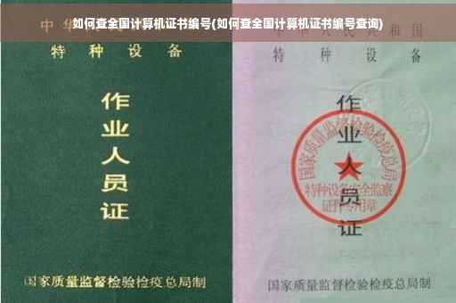 如何查全国计算机证书编号(如何查全国计算机证书编号查询)