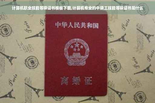 计算机职业技能等级证书模板下载,计算机专业的中级工技能等级证书是什么