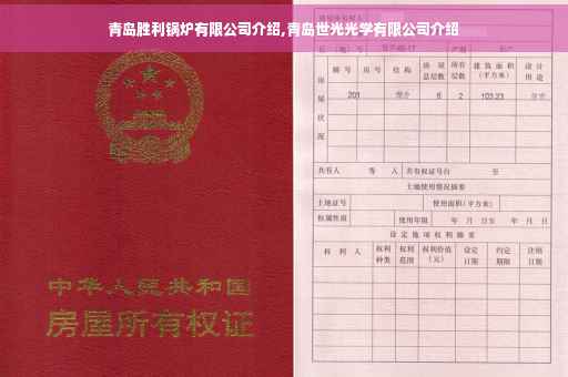 青岛胜利锅炉有限公司介绍,青岛世光光学有限公司介绍 青岛胜利锅炉有限公司介绍,青岛世光光学有限公司介绍