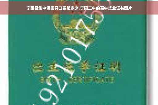 宁阳县集中供暖开口费是多少,宁阳二中的高中毕业证书图片