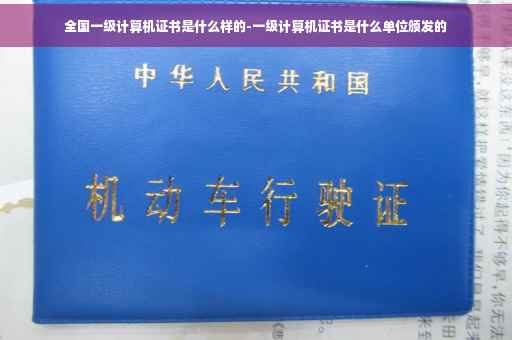 全国一级计算机证书是什么样的-一级计算机证书是什么单位颁发的