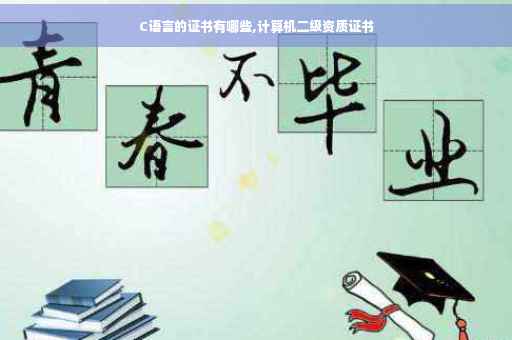 C语言的证书有哪些,计算机二级资质证书