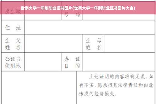 世宗大学一年制毕业证书图片(世宗大学一年制毕业证书图片大全)
