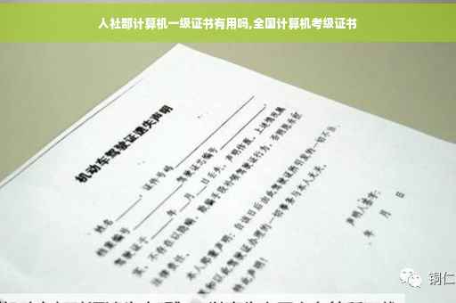 人社部计算机一级证书有用吗,全国计算机考级证书