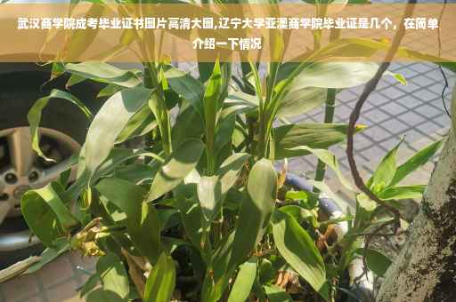 武汉商学院成考毕业证书图片高清大图,辽宁大学亚澳商学院毕业证是几个，在简单介绍一下情况