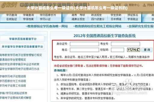 大学计算机怎么考一级证书(大学计算机怎么考一级证书的)