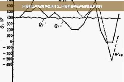 计算机证书颁发单位填什么,计算机等级证书是哪里颁发的