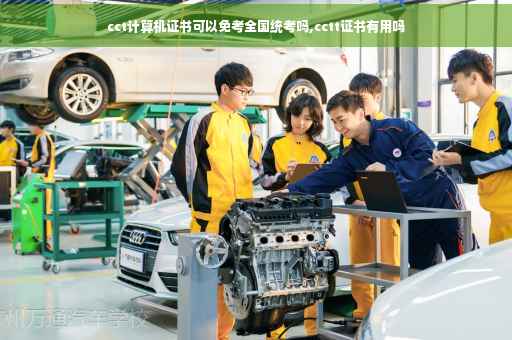 cct计算机证书可以免考全国统考吗,cctt证书有用吗