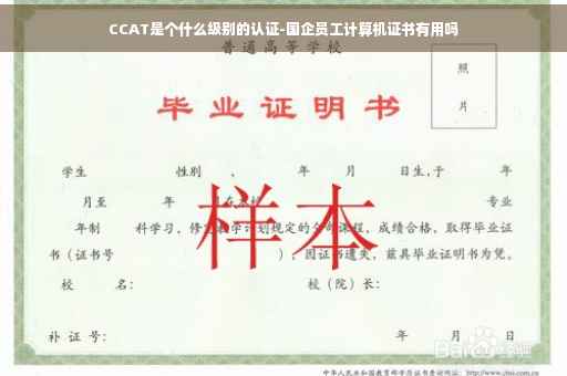 CCAT是个什么级别的认证-国企员工计算机证书有用吗