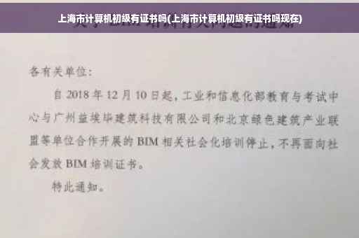 上海市计算机初级有证书吗(上海市计算机初级有证书吗现在)